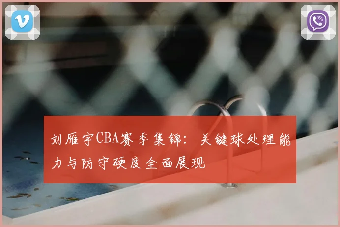 刘雁宇CBA赛季集锦:关键球处理能力与防守硬度全面展现