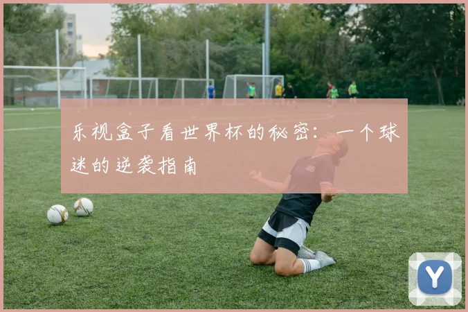 乐视盒子看世界杯的秘密:一个球迷的逆袭指南