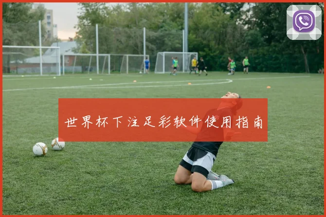 世界杯下注足彩软件使用指南