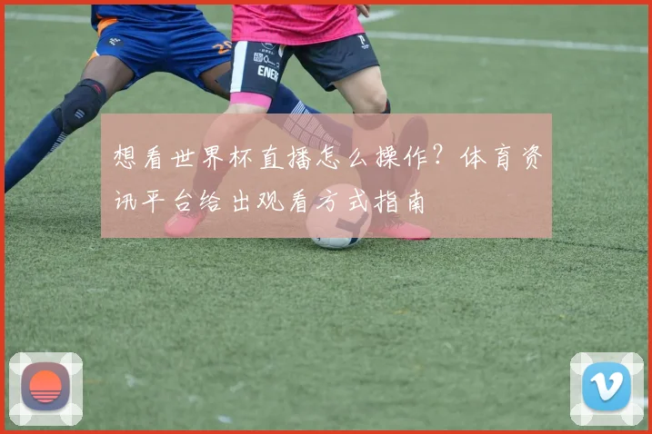 想看世界杯直播怎么操作？体育资讯平台给出观看方式指南