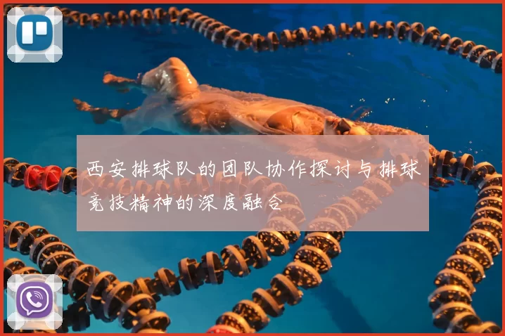 西安排球队的团队协作探讨与排球竞技精神的深度融合