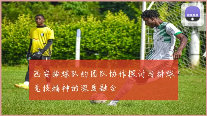 西安排球队的团队协作探讨与排球竞技精神的深度融合