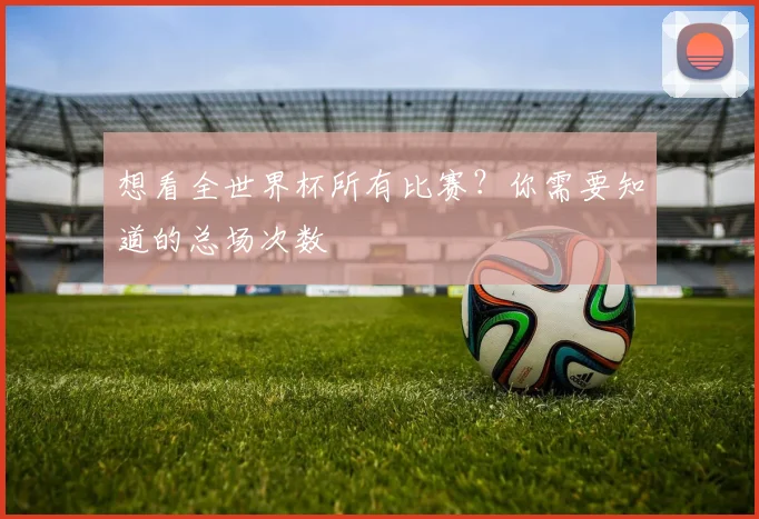 想看全世界杯所有比赛？你需要知道的总场次数