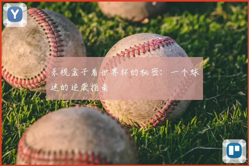 乐视盒子看世界杯的秘密：一个球迷的逆袭指南