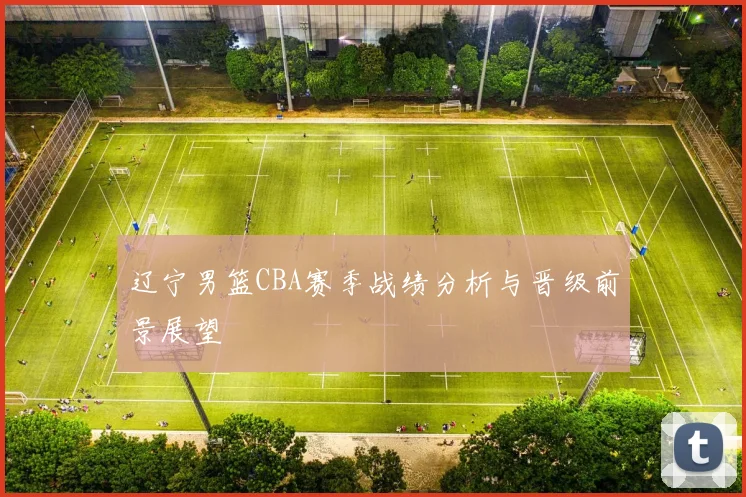 辽宁男篮CBA赛季战绩分析与晋级前景展望