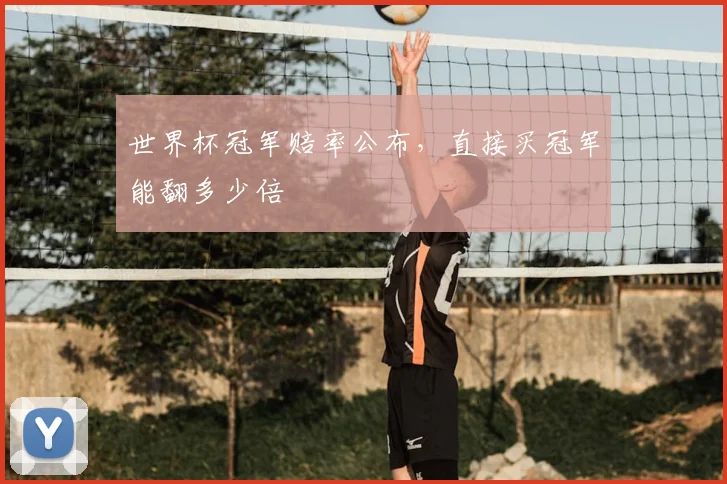 世界杯冠军赔率公布,直接买冠军能翻多少倍