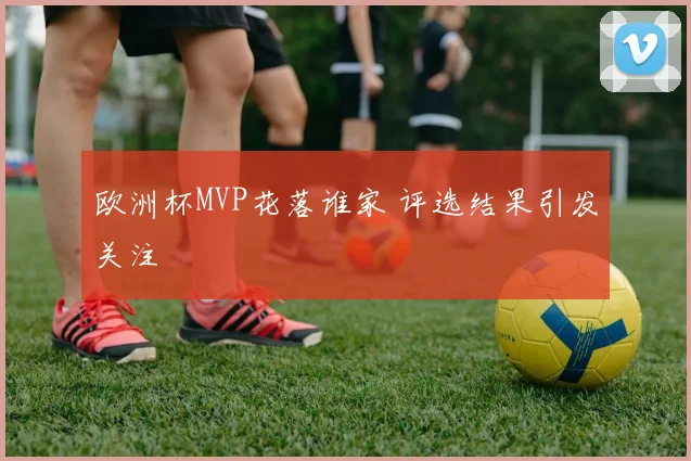 欧洲杯MVP花落谁家 评选结果引发关注