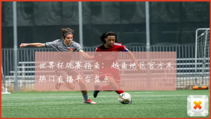 世界杯观赛指南：越南地区官方及热门直播平台盘点