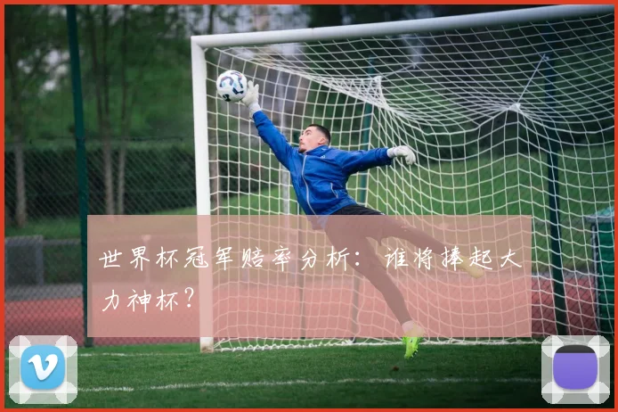 世界杯冠军赔率分析：谁将捧起大力神杯？
