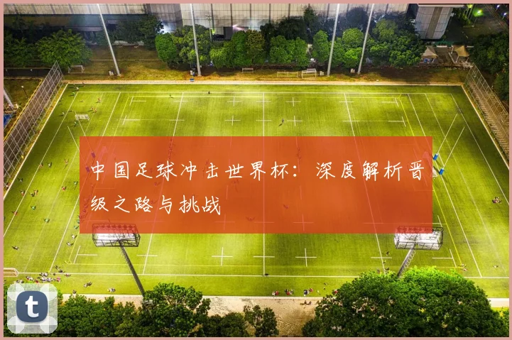 中国足球冲击世界杯:深度解析晋级之路与挑战