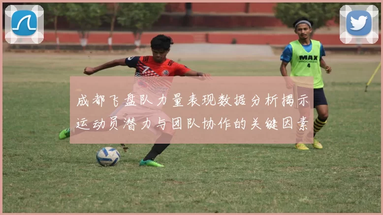 成都飞盘队力量表现数据分析揭示运动员潜力与团队协作的关键因素