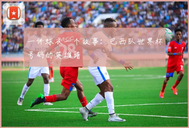 一件球衣一个故事:巴西队世界杯号码的英雄谱