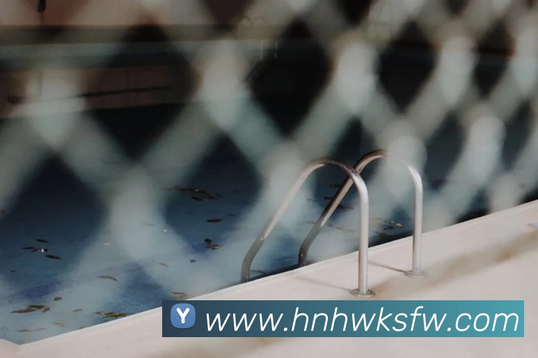 多媒体互动体验